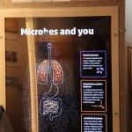 Bacteria living inside you are highlighted and overlaid on your body using a Kinect v1