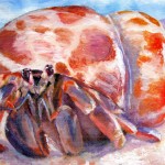 Hermit Crab - Spring 2008, Oil Paint
